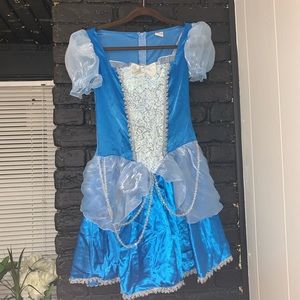 Cinderella Halloween Dress Costume
